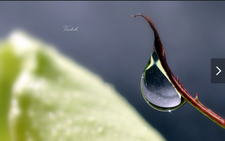Article : Ne pleure pas, tu n&rsquo;en as pas le droit